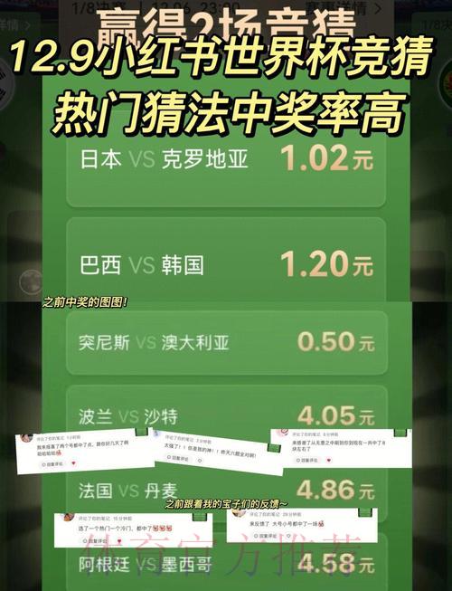 世界杯竞猜平台：借助专业预测有效提升获胜概率